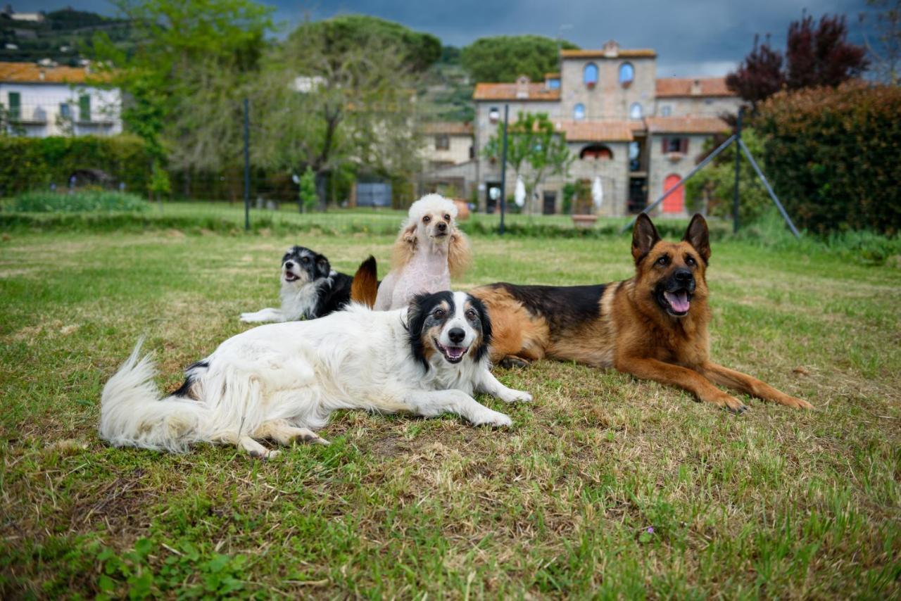 Monastero San Silvestro Villa Кортона Екстериор снимка
